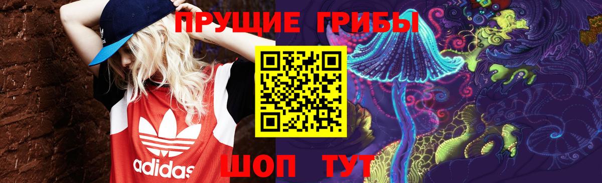 где продают   Галлюциногенные грибы мухоморы  Вход с VPN  Белово 
